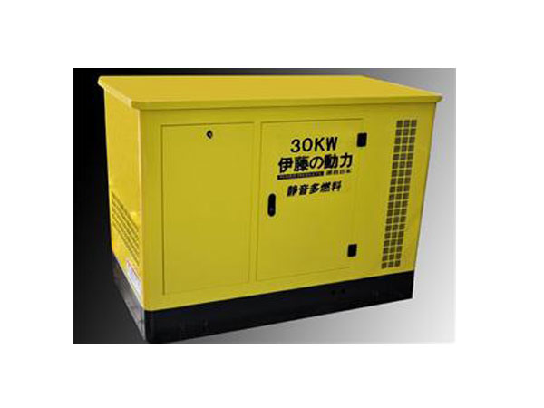 30KW多燃料發(fā)電機(jī) 30KW多燃料發(fā)電機(jī)